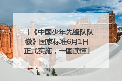 《中国少年先锋队队徽》国家标准6月1日正式实施，一图读懂