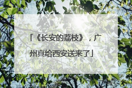 《长安的荔枝》，广州真给西安送来了