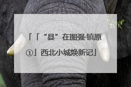 「“县”在图强·镇原①」西北小城焕新记