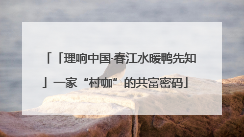 「理响中国·春江水暖鸭先知」一家“村咖”的共富密码