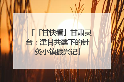 「甘快看」甘肃灵台：津甘共建下的针灸小镇振兴记