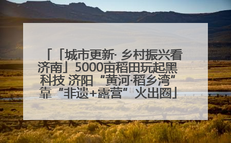「城市更新· 乡村振兴看济南」5000亩稻田玩起黑科技 济阳“黄河·稻乡湾”靠“非遗+露营”火出圈