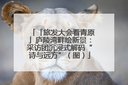 「旅发大会看青原」庐陵湾畔绘新景：采访团沉浸式解码“诗与远方”（图）