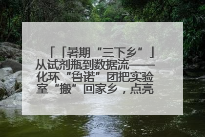 「暑期“三下乡”」从试剂瓶到数据流——化环“鲁诺”团把实验室“搬”回家乡，点亮桑梓求知路