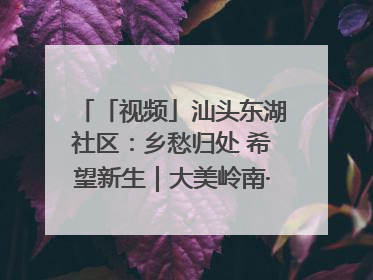 「视频」汕头东湖社区：乡愁归处 希望新生｜大美岭南·百村焕新记