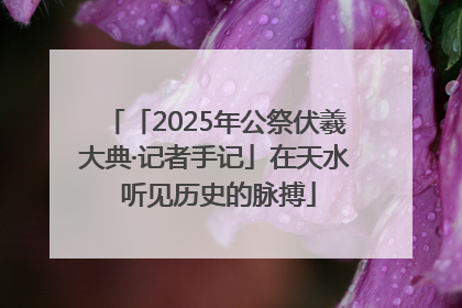 「2025年公祭伏羲大典·记者手记」在天水 听见历史的脉搏