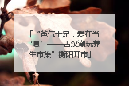 “爸气十足，爱在当‘夏’——古汉潮玩养生市集”衡阳开市