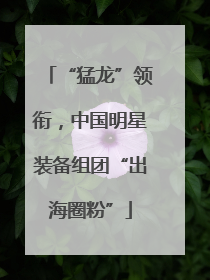 “猛龙”领衔，中国明星装备组团“出海圈粉”