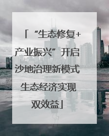 “生态修复+产业振兴”开启沙地治理新模式 生态经济实现双效益