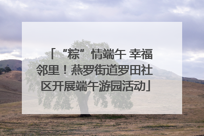 “粽”情端午 幸福邻里！燕罗街道罗田社区开展端午游园活动