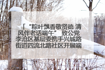 “粽叶飘香敬贤德 清风伴老话端午” 致公党李沧区基层委携手兴城路街道四流北路社区开展端午节主题活动
