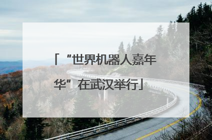 “世界机器人嘉年华”在武汉举行