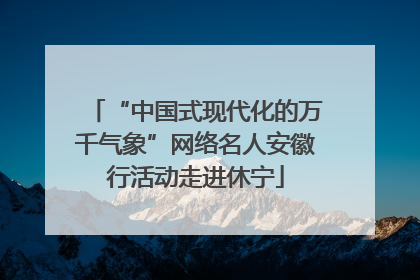 “中国式现代化的万千气象”网络名人安徽行活动走进休宁