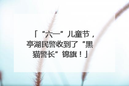 “六一”儿童节，亭湖民警收到了“黑猫警长”锦旗！