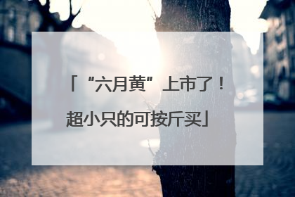 “六月黄”上市了！超小只的可按斤买