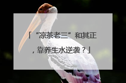 “凉茶老三”和其正，靠养生水逆袭？