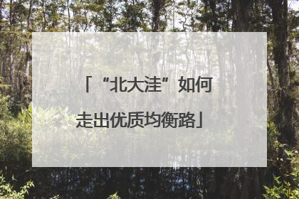 “北大洼”如何走出优质均衡路