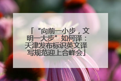 “向前一小步，文明一大步”如何译：天津发布标识英文译写规范迎上合峰会