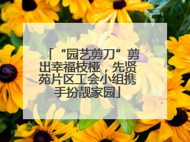 “园艺剪刀”剪出幸福枝桠，先贤苑片区工会小组携手扮靓家园