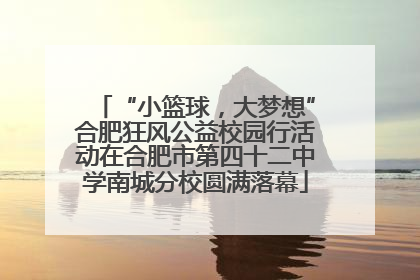 “小篮球，大梦想”合肥狂风公益校园行活动在合肥市第四十二中学南城分校圆满落幕