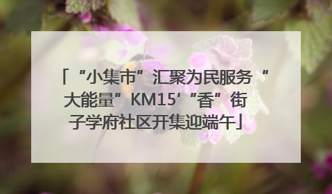 “小集市”汇聚为民服务“大能量”KM15′“香”街子学府社区开集迎端午