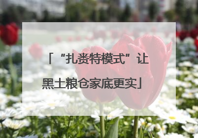 “扎赉特模式”让黑土粮仓家底更实