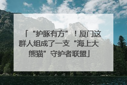“护豚有方”！厦门这群人组成了一支“海上大熊猫”守护者联盟