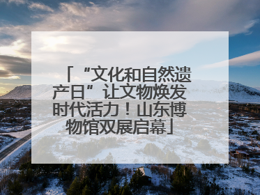 “文化和自然遗产日”让文物焕发时代活力！山东博物馆双展启幕