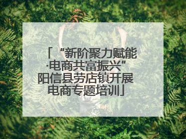 “新阶聚力赋能·电商共富振兴”阳信县劳店镇开展电商专题培训