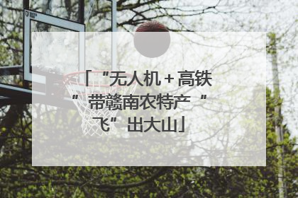 “无人机＋高铁”带赣南农特产“飞”出大山