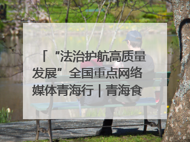 “法治护航高质量发展”全国重点网络媒体青海行｜青海食品工业协会：架起“青字号”美食的产业化桥梁