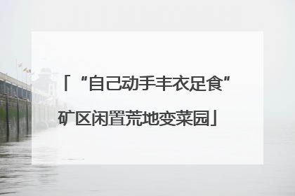“自己动手丰衣足食”矿区闲置荒地变菜园