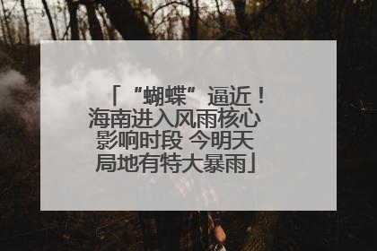 “蝴蝶”逼近！海南进入风雨核心影响时段 今明天局地有特大暴雨