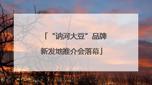 “讷河大豆”品牌新发地推介会落幕