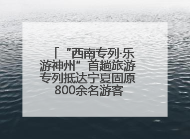“西南专列·乐游神州”首趟旅游专列抵达宁夏固原 800余名游客开启清凉之旅