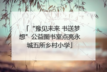 “豫见未来 书送梦想”公益图书室点亮永城五所乡村小学