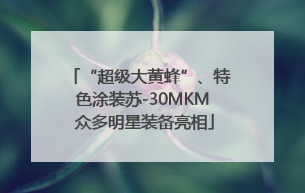 “超级大黄蜂”、特色涂装苏-30MKM 众多明星装备亮相