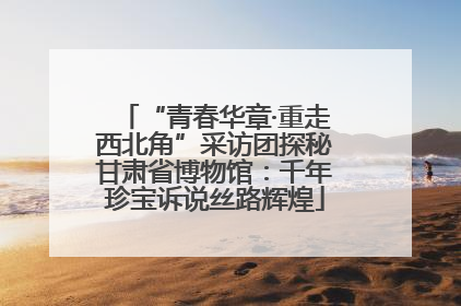 “青春华章·重走西北角”采访团探秘甘肃省博物馆：千年珍宝诉说丝路辉煌