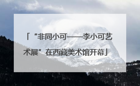 “非同小可——李小可艺术展”在西藏美术馆开幕