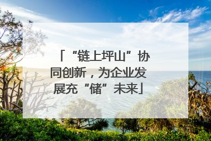 “链上坪山”协同创新，为企业发展充“储”未来