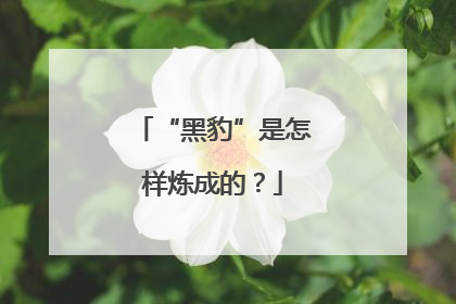 “黑豹”是怎样炼成的？