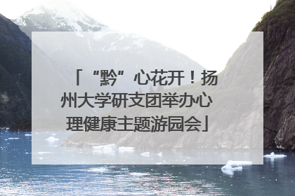 “黔”心花开！扬州大学研支团举办心理健康主题游园会