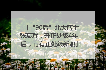 “90后”北大博士张宸珲，升正处级4年后，再有正处级新职
