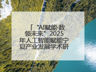 “AI赋能·数领未来”2025年人工智能赋能宁夏产业发展学术研讨会在银川举办