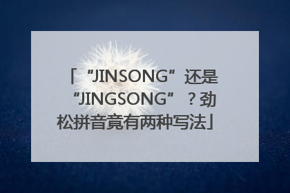 “JINSONG”还是“JINGSONG”？劲松拼音竟有两种写法