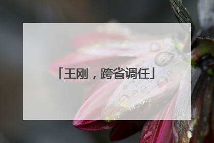 王刚，跨省调任
