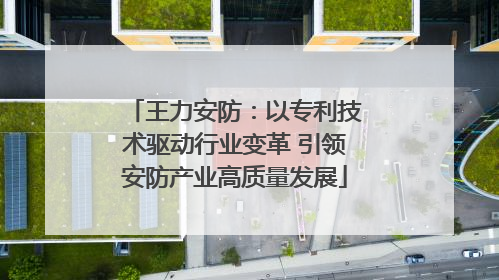 王力安防：以专利技术驱动行业变革 引领安防产业高质量发展