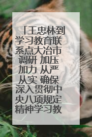 王忠林到学习教育联系点大冶市调研 加压加力 从严从实 确保深入贯彻中央八项规定精神学习教育取得实效