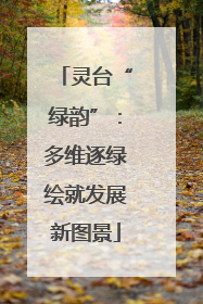 灵台“绿韵”：多维逐绿绘就发展新图景
