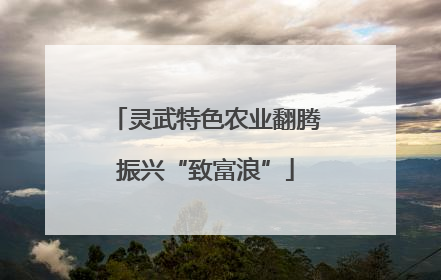 灵武特色农业翻腾振兴“致富浪”